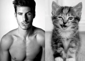 Aslan erkeğini etkilemenin ve elde etmenin yolları