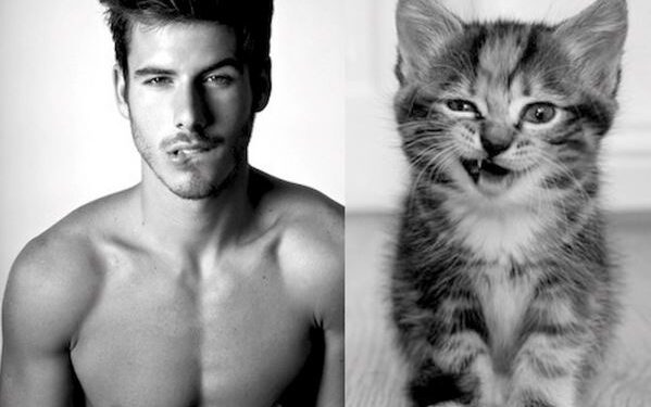 Aslan erkeğini etkilemenin ve elde etmenin yolları