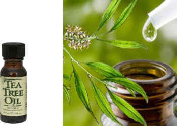 çay ağacı yağı nedir,sağlığa faydaları neledir?