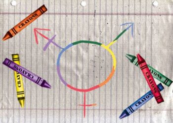 Queer Seks Ne Demek?