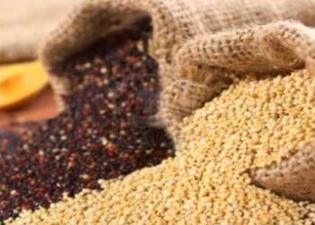 kinoa nedir sağlığa faydaları nelerdir ?