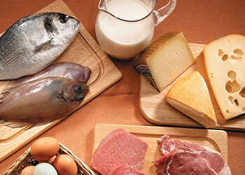 yüksek protein diyetleri zararlı mı?