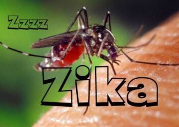 Zika Virüsü Nedir?