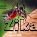 Zika Virüsü Nedir?