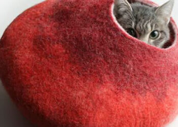 erkeklerde yetersizlik hissi