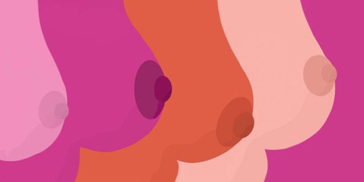 Görünüm Ve Şekline Göre Göğüs Ve Göğüs Ucu Türleri